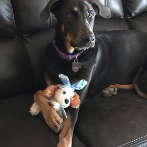 Meet your Posher, Cindy